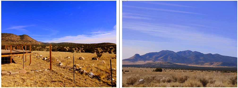 186 Southern TrlDatil, NM, 87821Catron County