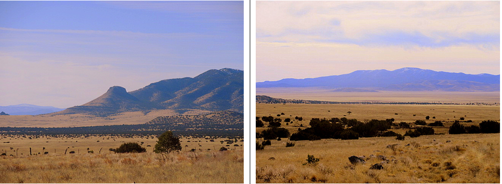 186 Southern TrlDatil, NM, 87821Catron County