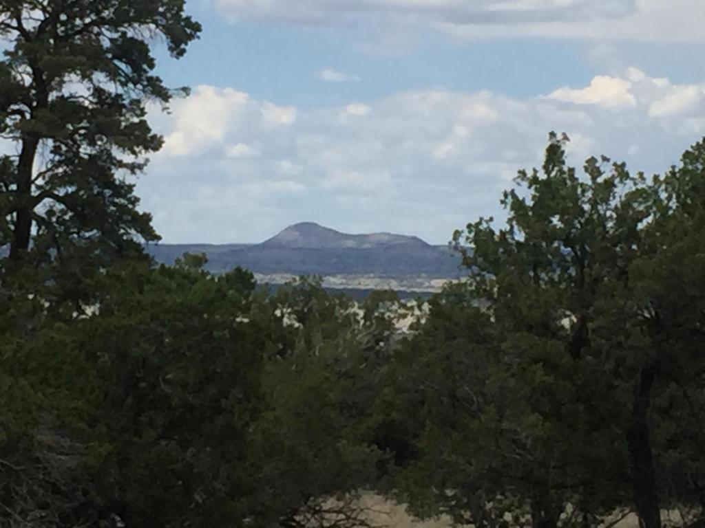 35 Wagon Trail, Datil, NM 87821
