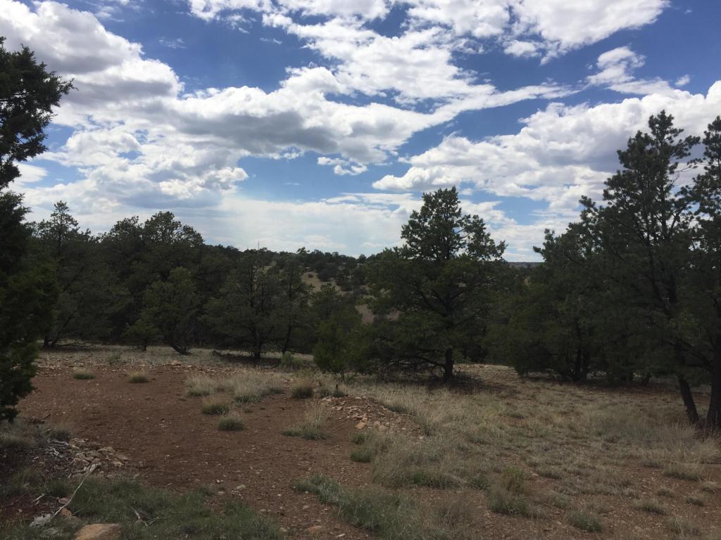 35 Wagon Trail, Datil, NM 87821