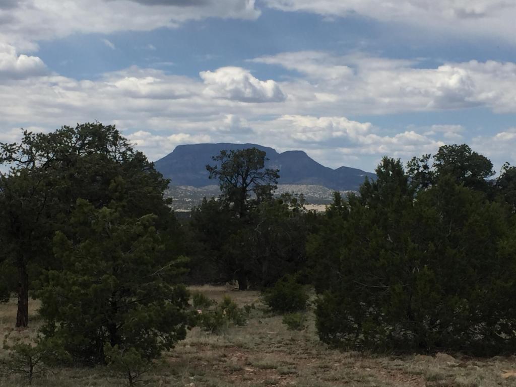 35 Wagon Trail, Datil, NM 87821