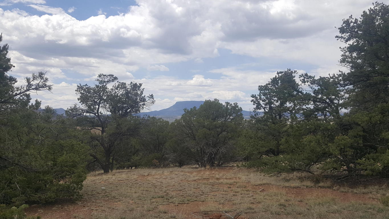35 Wagon Trail, Datil, NM 87821
