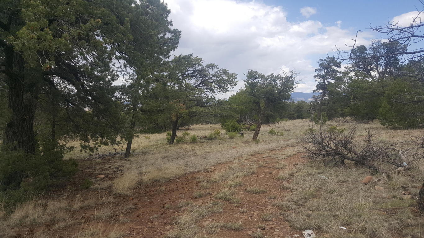 35 Wagon Trail, Datil, NM 87821