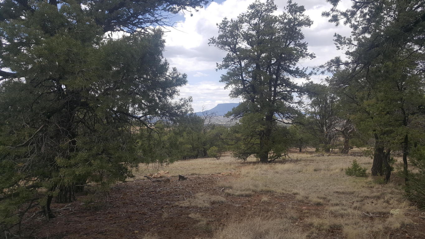 35 Wagon Trail, Datil, NM 87821