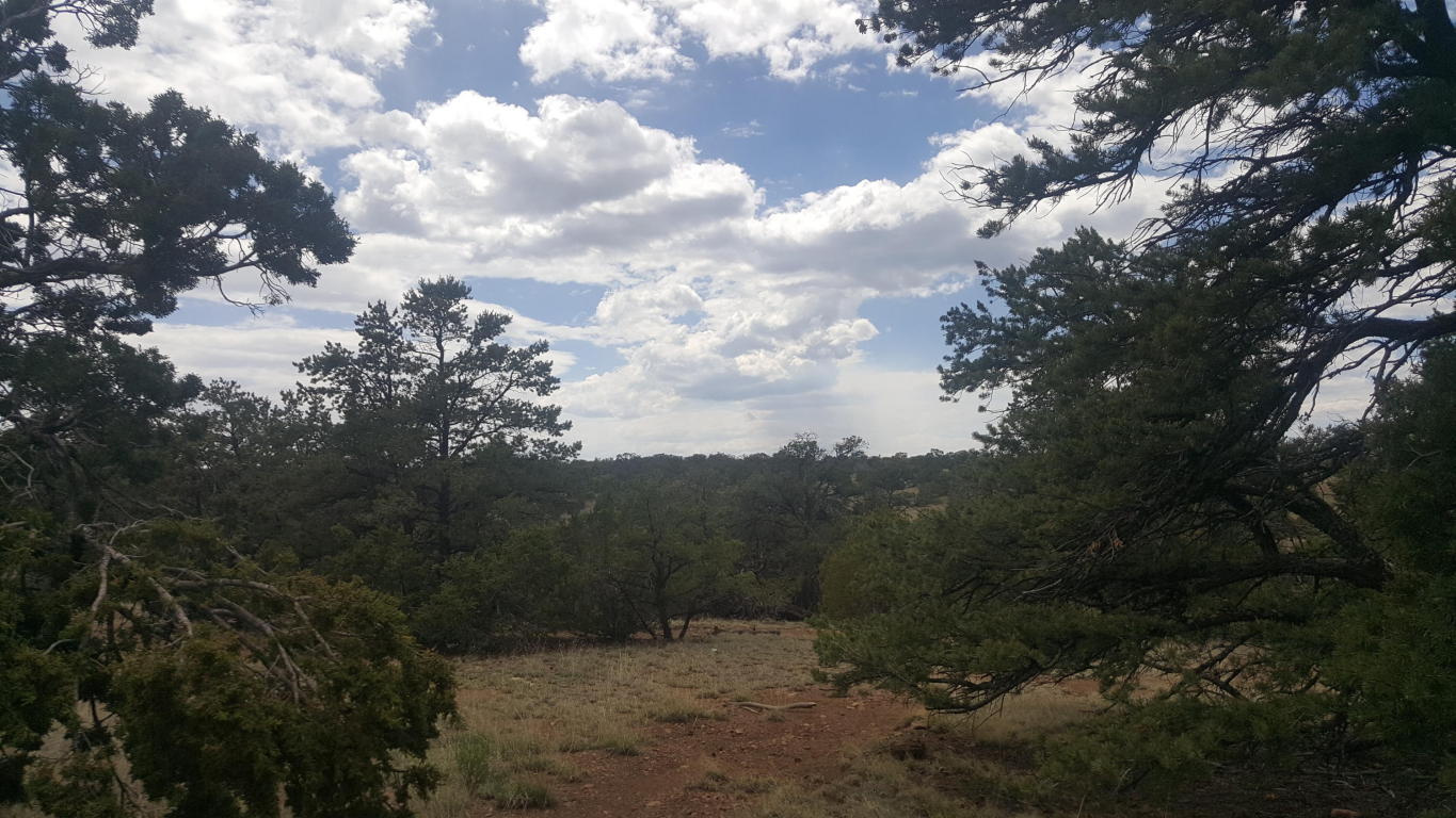 35 Wagon Trail, Datil, NM 87821