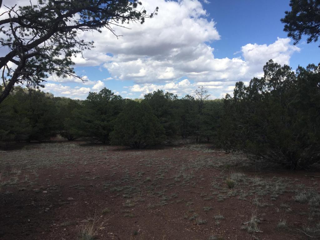 165 Homestead Trail, Datil, NM 87821