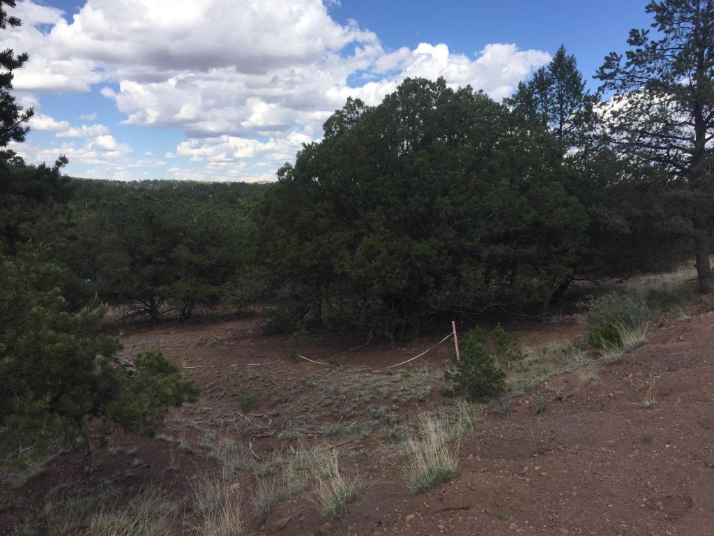 165 Homestead Trail, Datil, NM 87821