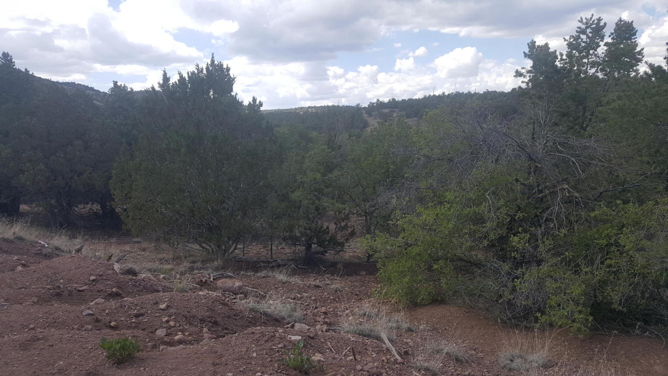 165 Homestead Trail, Datil, NM 87821