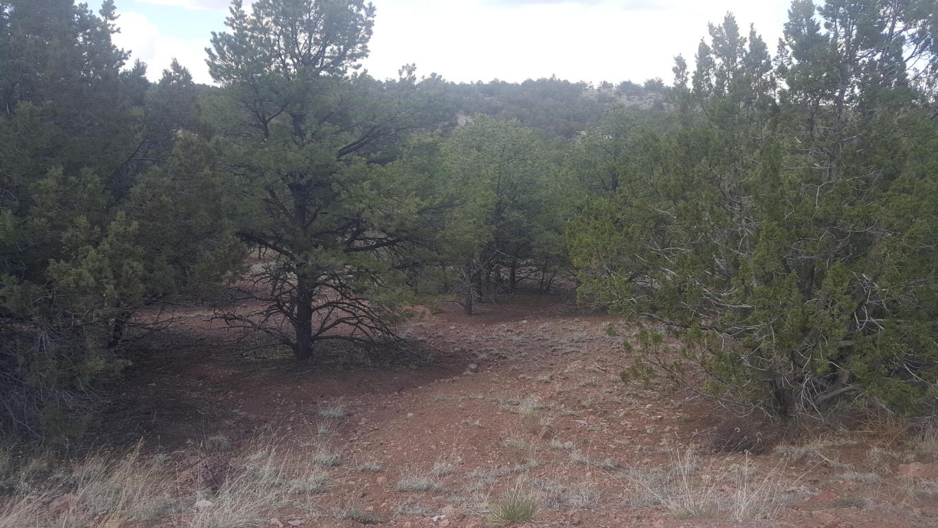 165 Homestead Trail, Datil, NM 87821