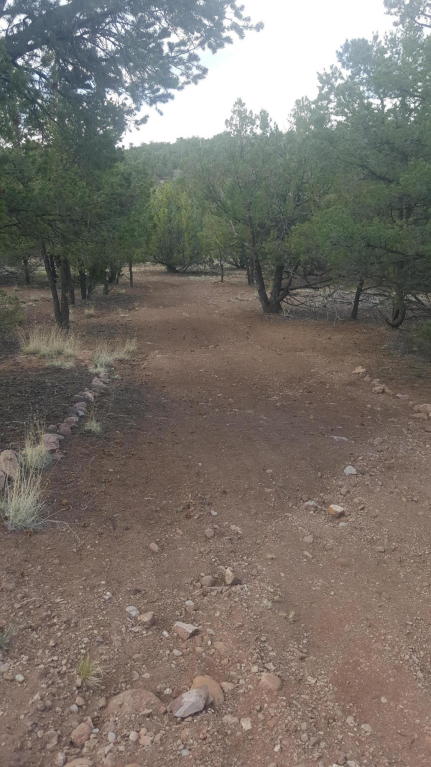 165 Homestead Trail, Datil, NM 87821