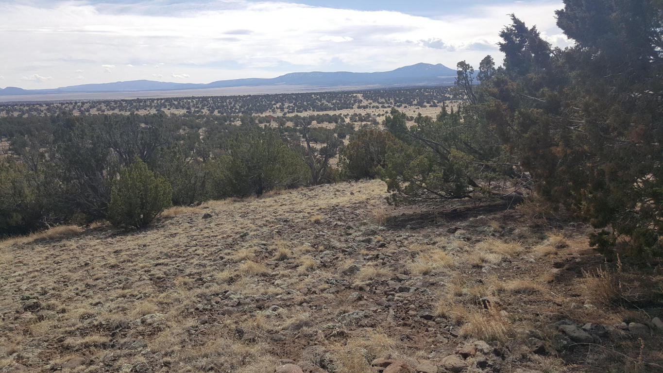 32 Sugarloaf, Datil, NM 87821