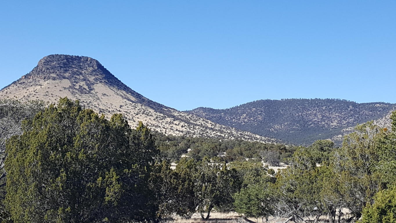 32 Sugarloaf, Datil, NM 87821