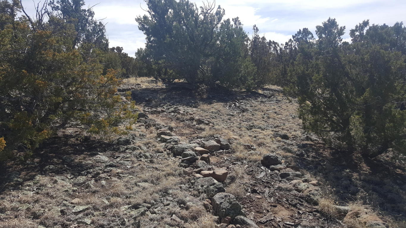 32 Sugarloaf, Datil, NM 87821