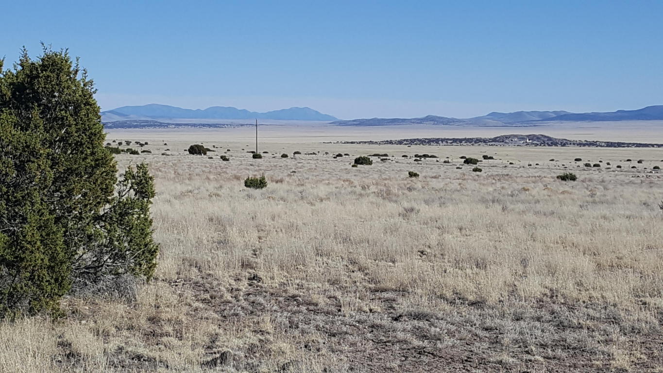 32 Sugarloaf, Datil, NM 87821