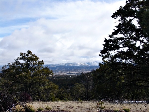 48 Bridger, Datil, NM 87821