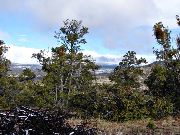 48 Bridger, Datil, NM 87821