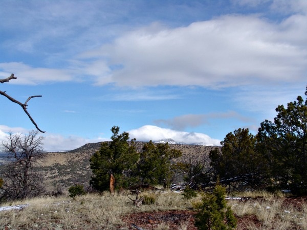 48 Bridger, Datil, NM 87821