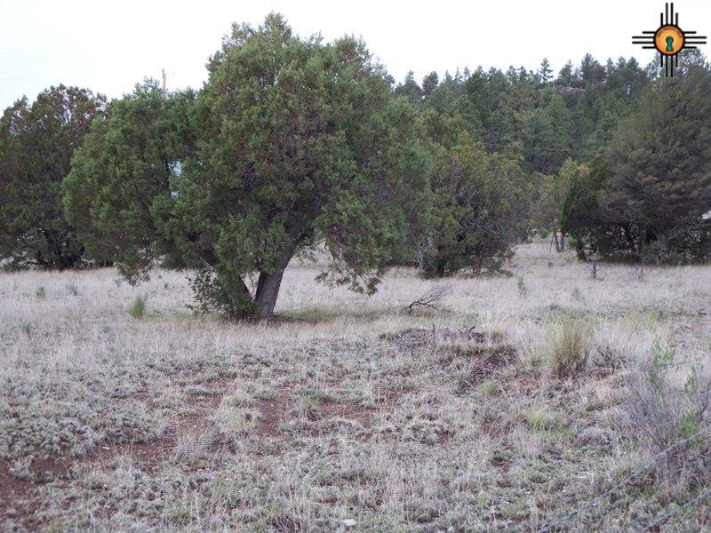 Payson Ave, Luna, NM 87824