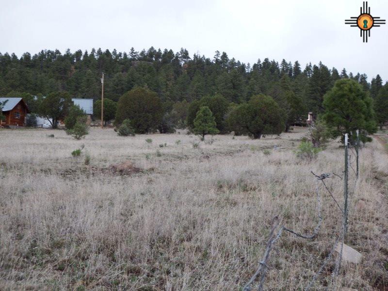 Payson Ave, Luna, NM 87824