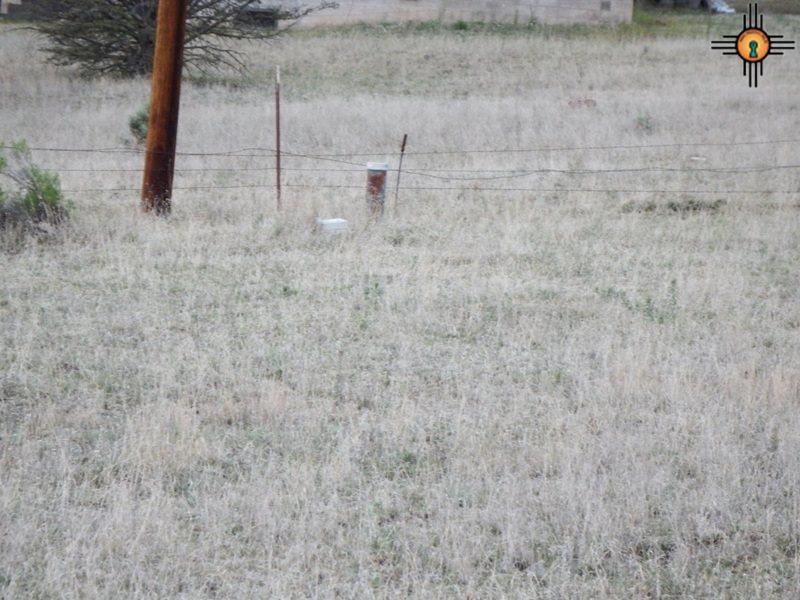 Payson Ave, Luna, NM 87824