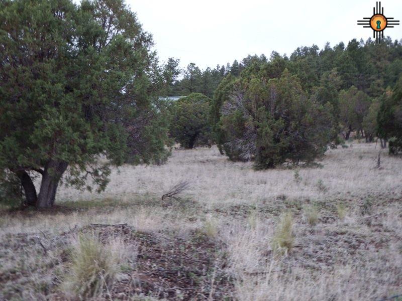 Payson Ave, Luna, NM 87824