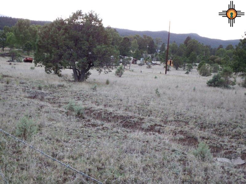 Payson Ave, Luna, NM 87824