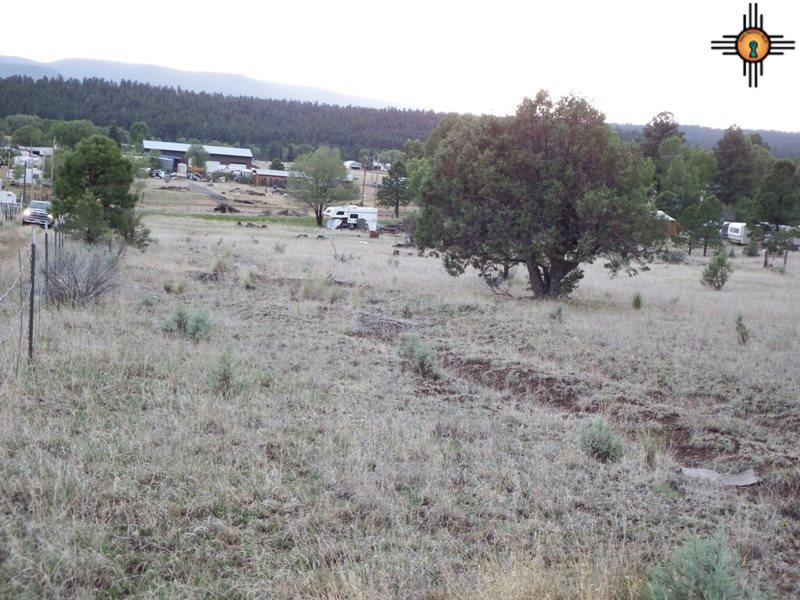 Payson Ave, Luna, NM 87824