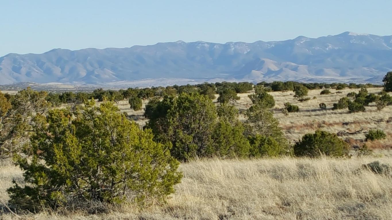 Lot 171 Pinon Springs, Magdalena, NM 87825