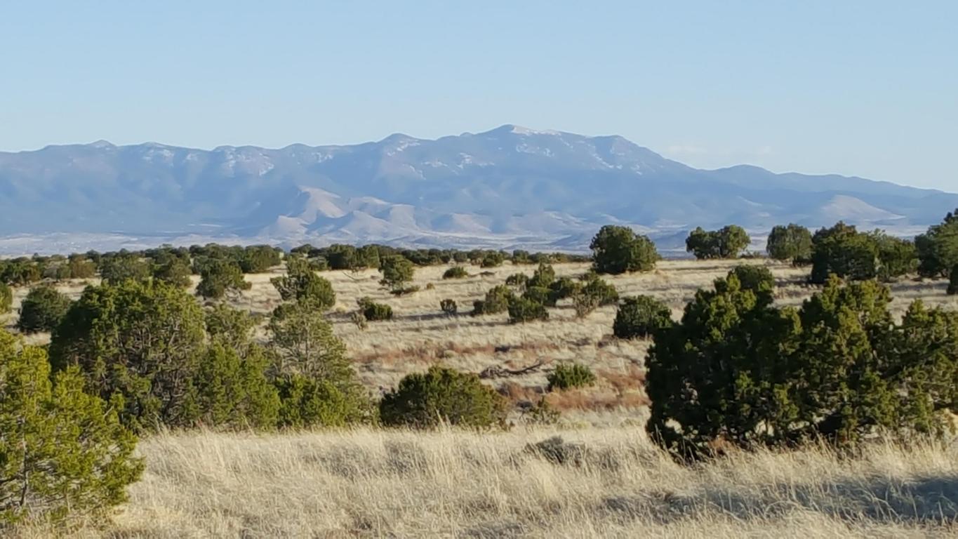 Lot 171 Pinon Springs, Magdalena, NM 87825