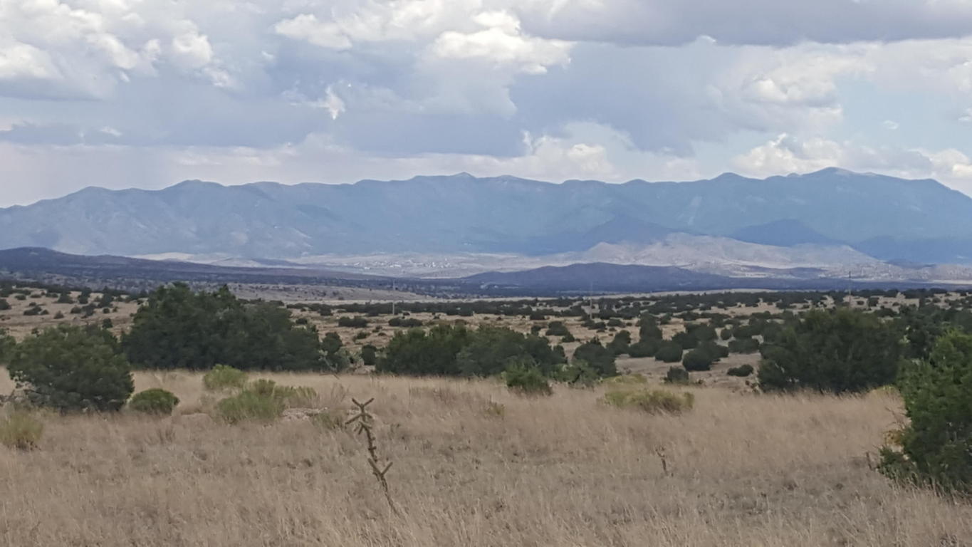 Lot 171 Pinon Springs, Magdalena, NM 87825