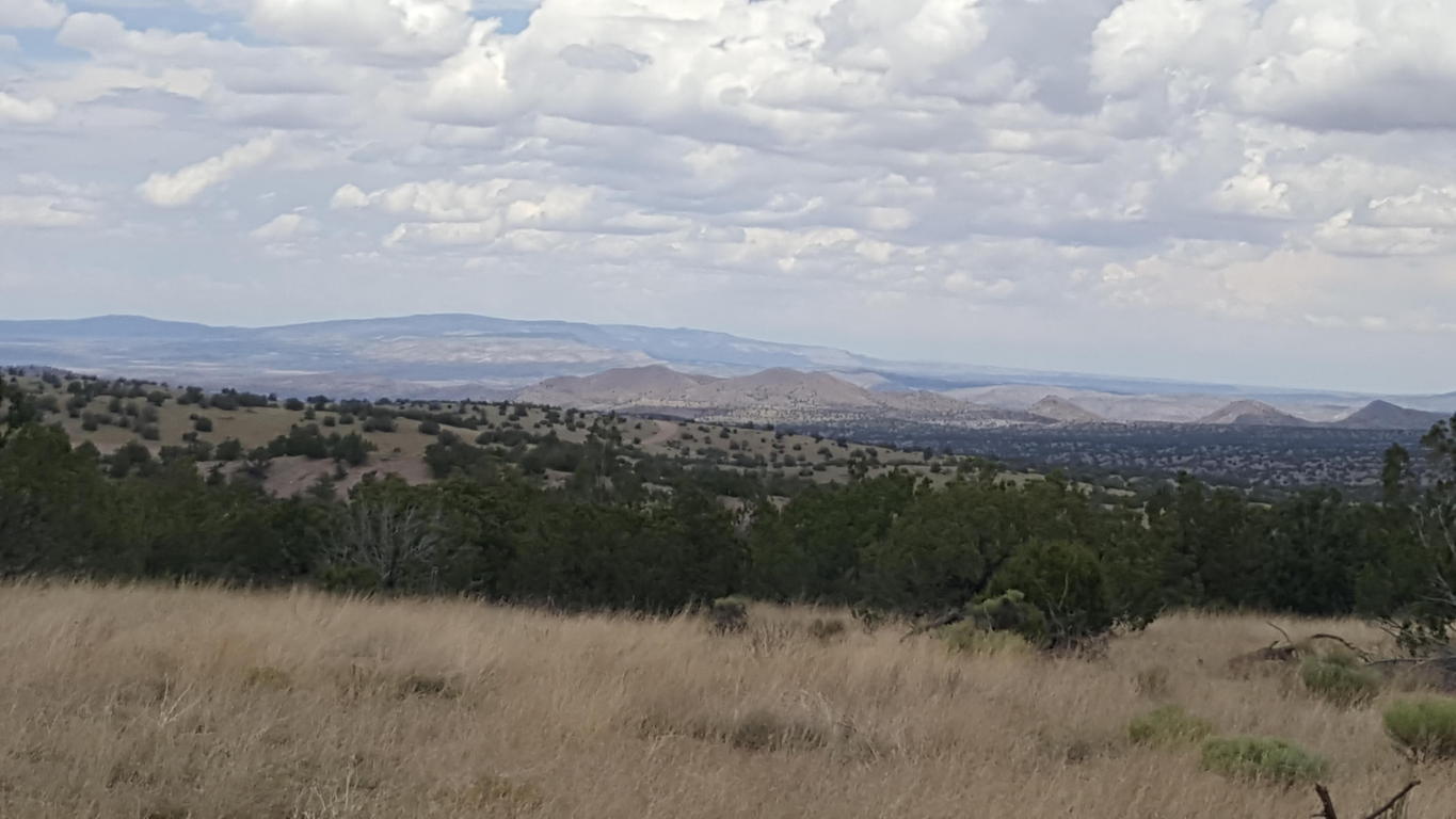 Lot 171 Pinon Springs, Magdalena, NM 87825