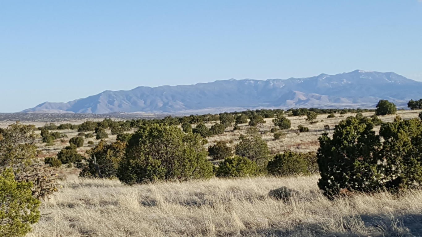 Lot 171 Pinon Springs, Magdalena, NM 87825