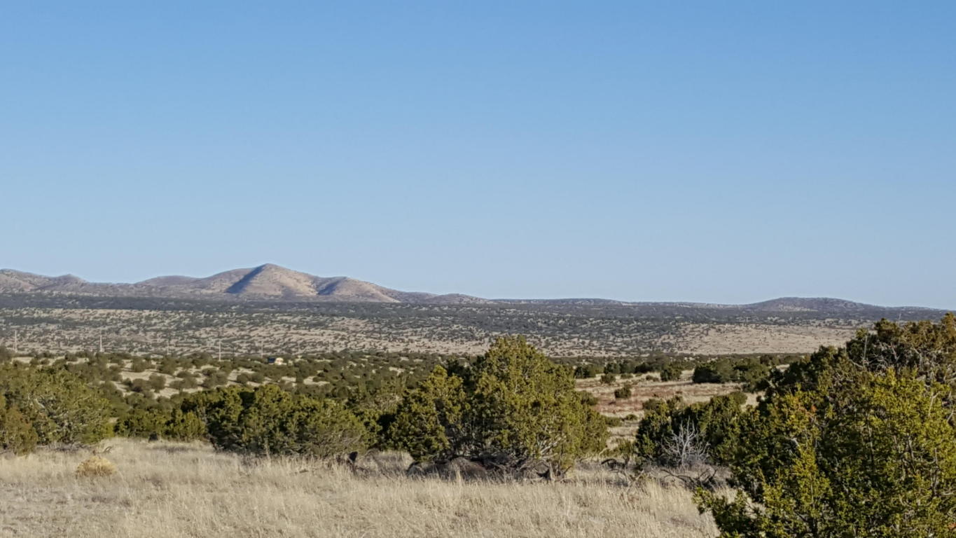 Lot 171 Pinon Springs, Magdalena, NM 87825