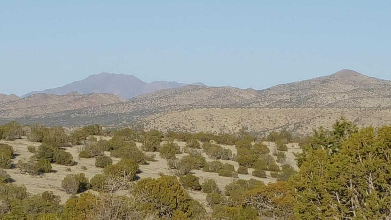 Lot 171 Pinon Springs, Magdalena, NM 87825