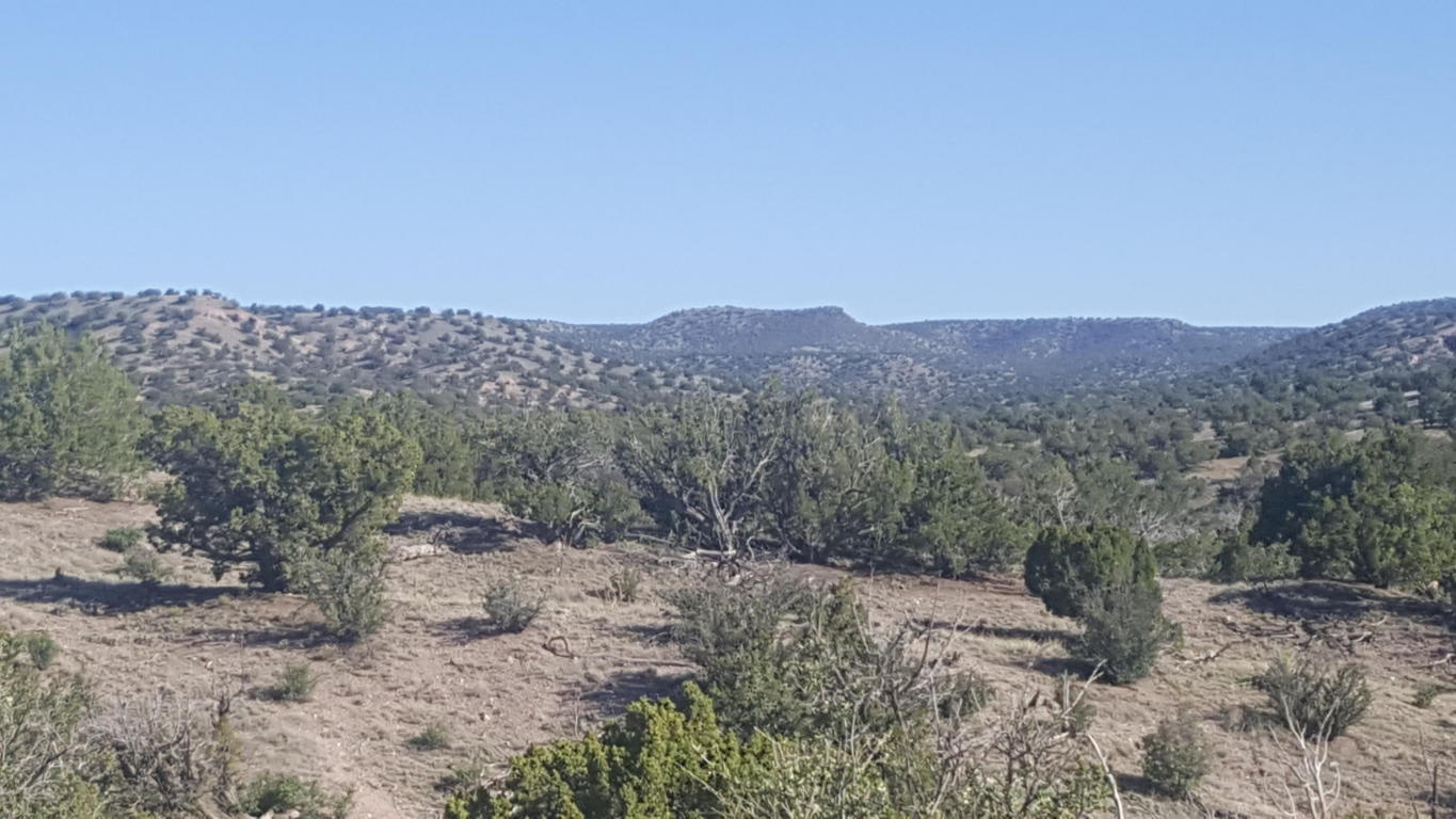 Lot 122 Abbe Springs, Magdalena, NM 87825
