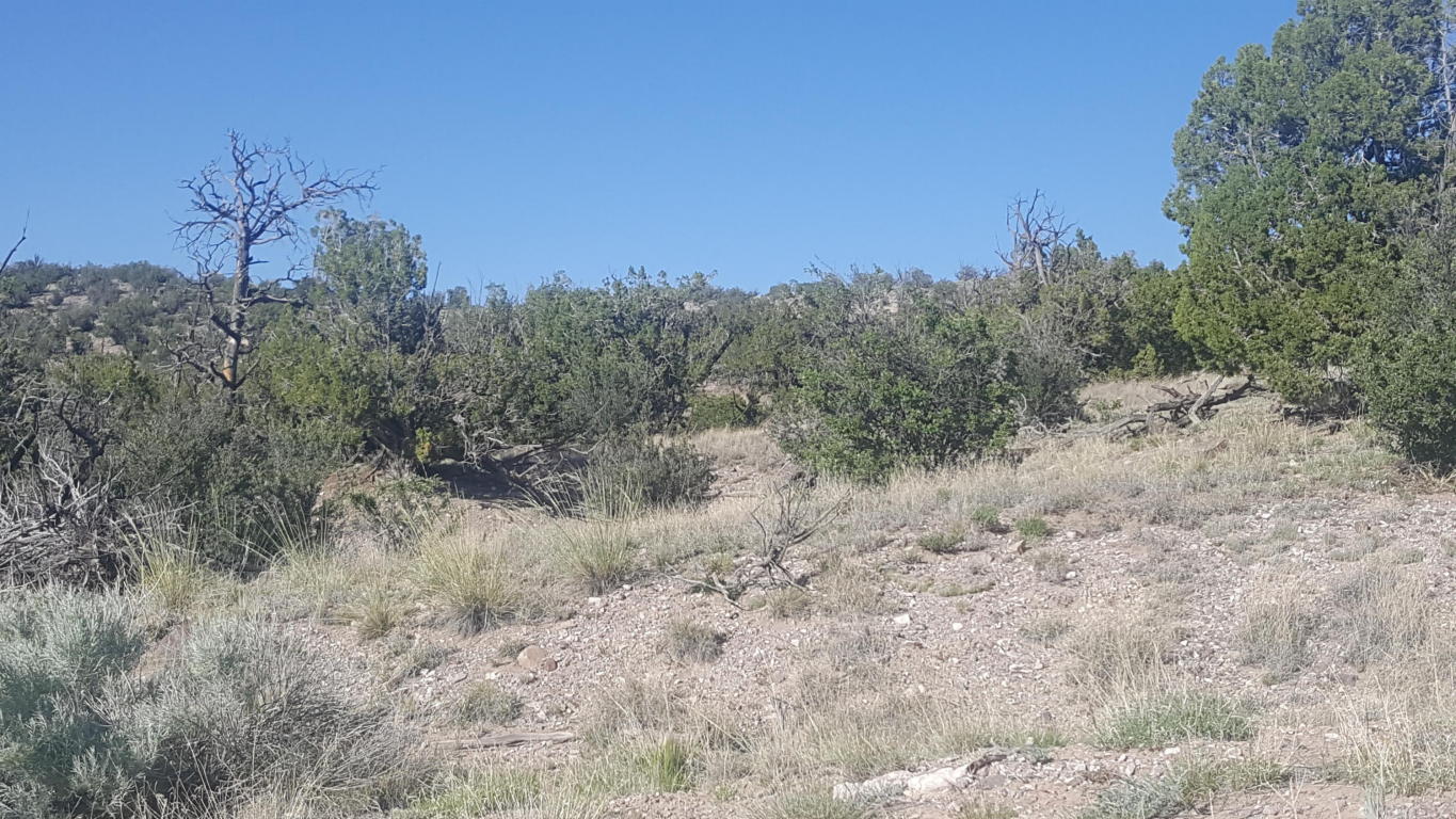 Lot 122 Abbe Springs, Magdalena, NM 87825