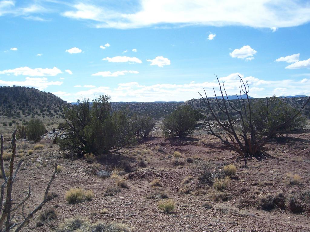 18 Abbe Springs Ranch, Magdalena, NM 87825