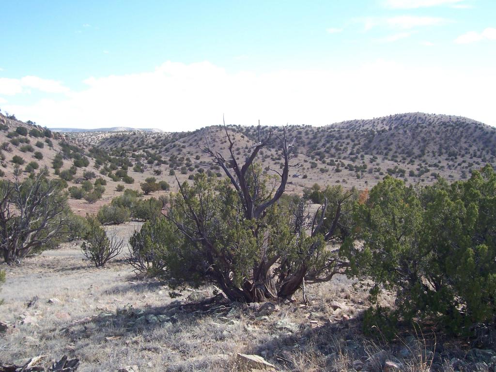 18 Abbe Springs Ranch, Magdalena, NM 87825