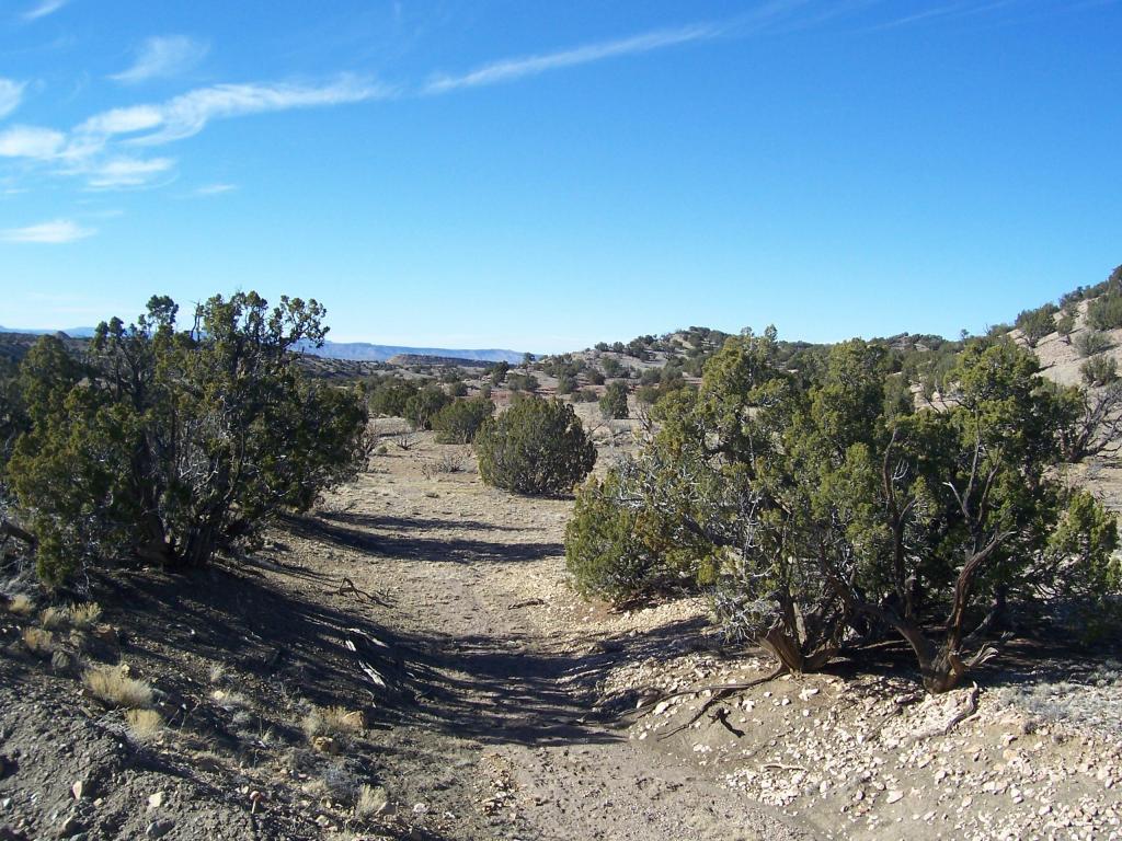 18 Abbe Springs Ranch, Magdalena, NM 87825