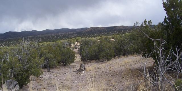 0 Abbe Springs Ranch, Magdalena, NM 87825