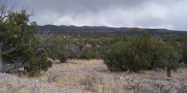 0 Abbe Springs Ranch, Magdalena, NM 87825