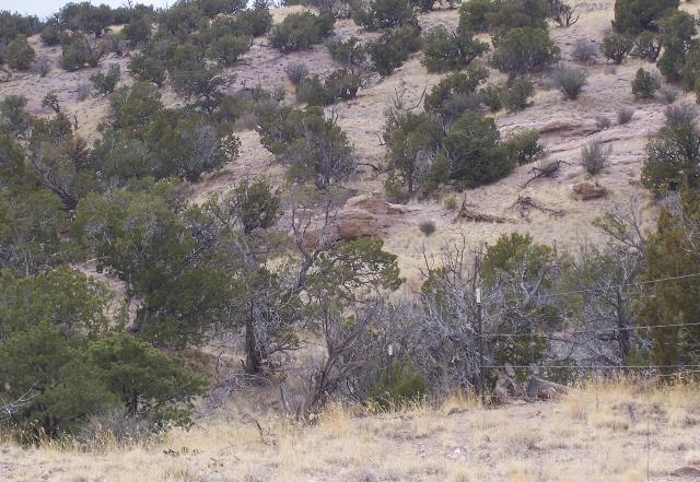 0 Abbe Springs Ranch, Magdalena, NM 87825