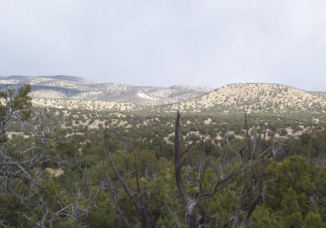0 Abbe Springs Ranch, Magdalena, NM 87825