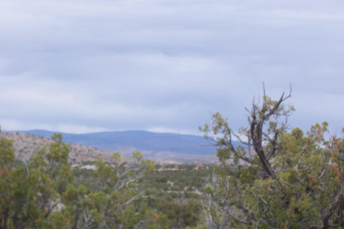 47 Abbe Springs Ranch, Magdalena, NM 87825