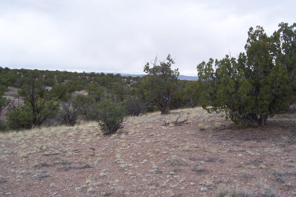 47 Abbe Springs Ranch, Magdalena, NM 87825