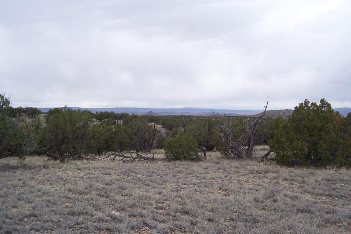 47 Abbe Springs Ranch, Magdalena, NM 87825