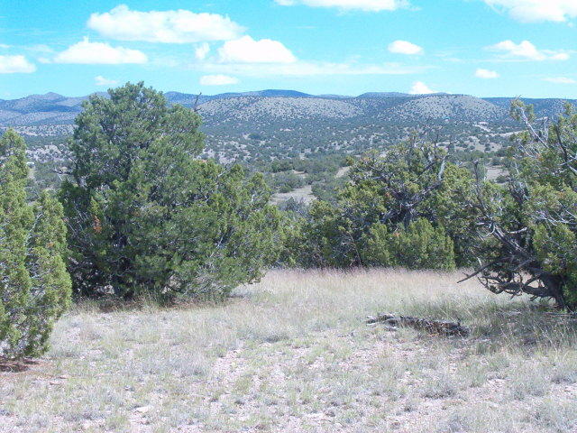 49 Abbe Springs Ranch, Magdalena, NM 87825