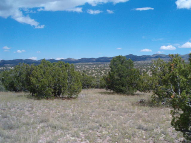 49 Abbe Springs Ranch, Magdalena, NM 87825