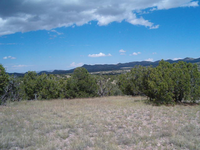 49 Abbe Springs Ranch, Magdalena, NM 87825