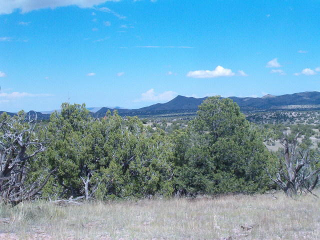 49 Abbe Springs Ranch, Magdalena, NM 87825